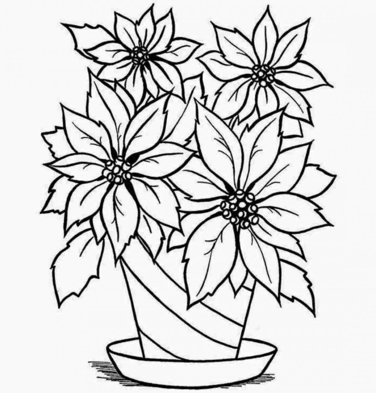 Colorful houseplant coloring page