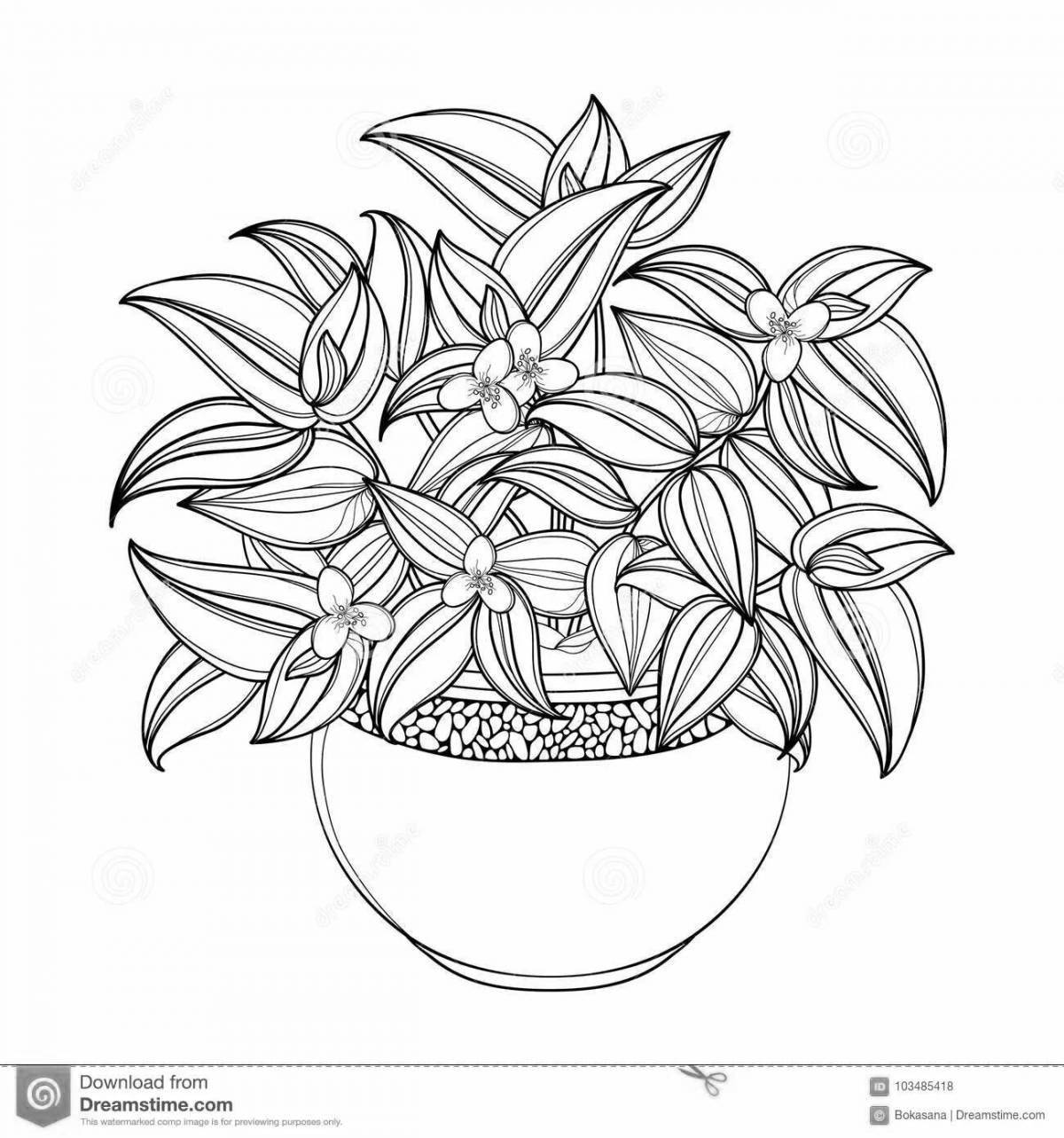 Coloring bright potted flowers