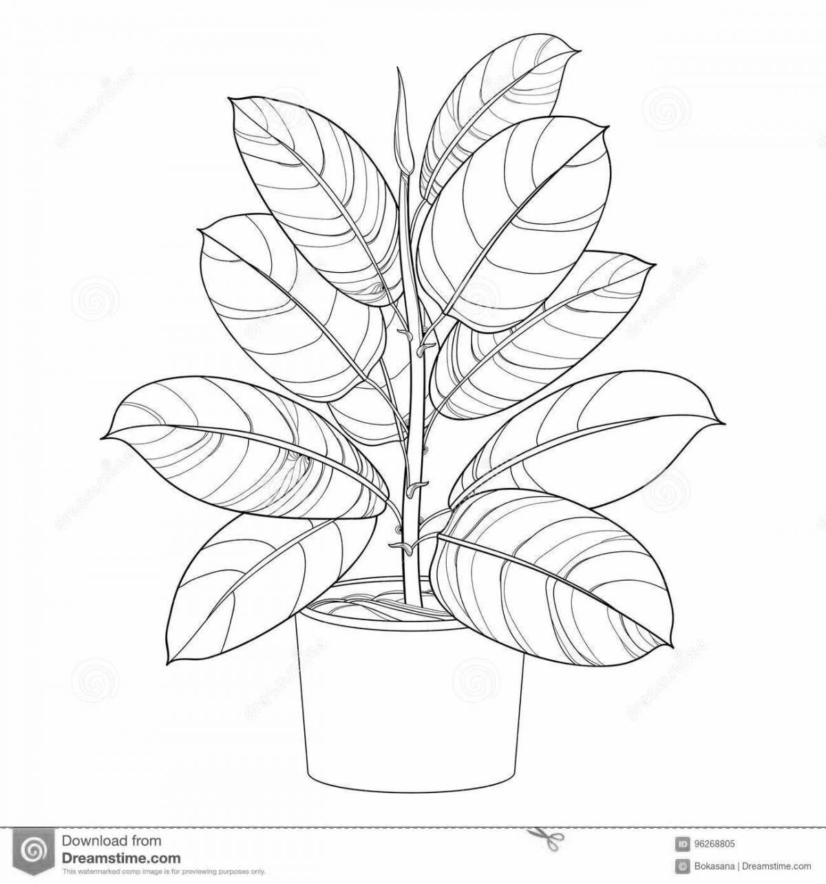 Coloring page cheerful indoor flower