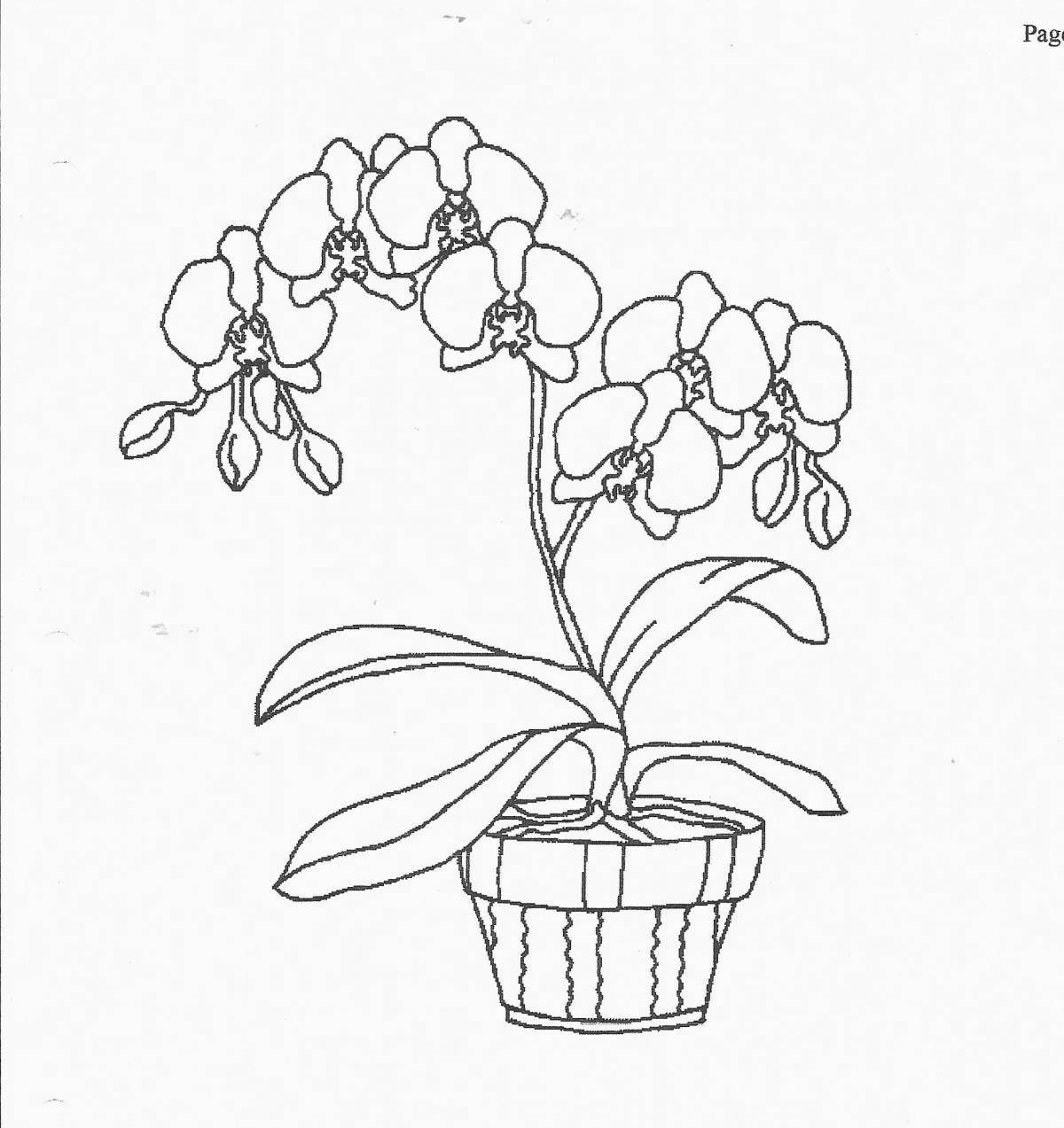 Playful houseplant coloring page