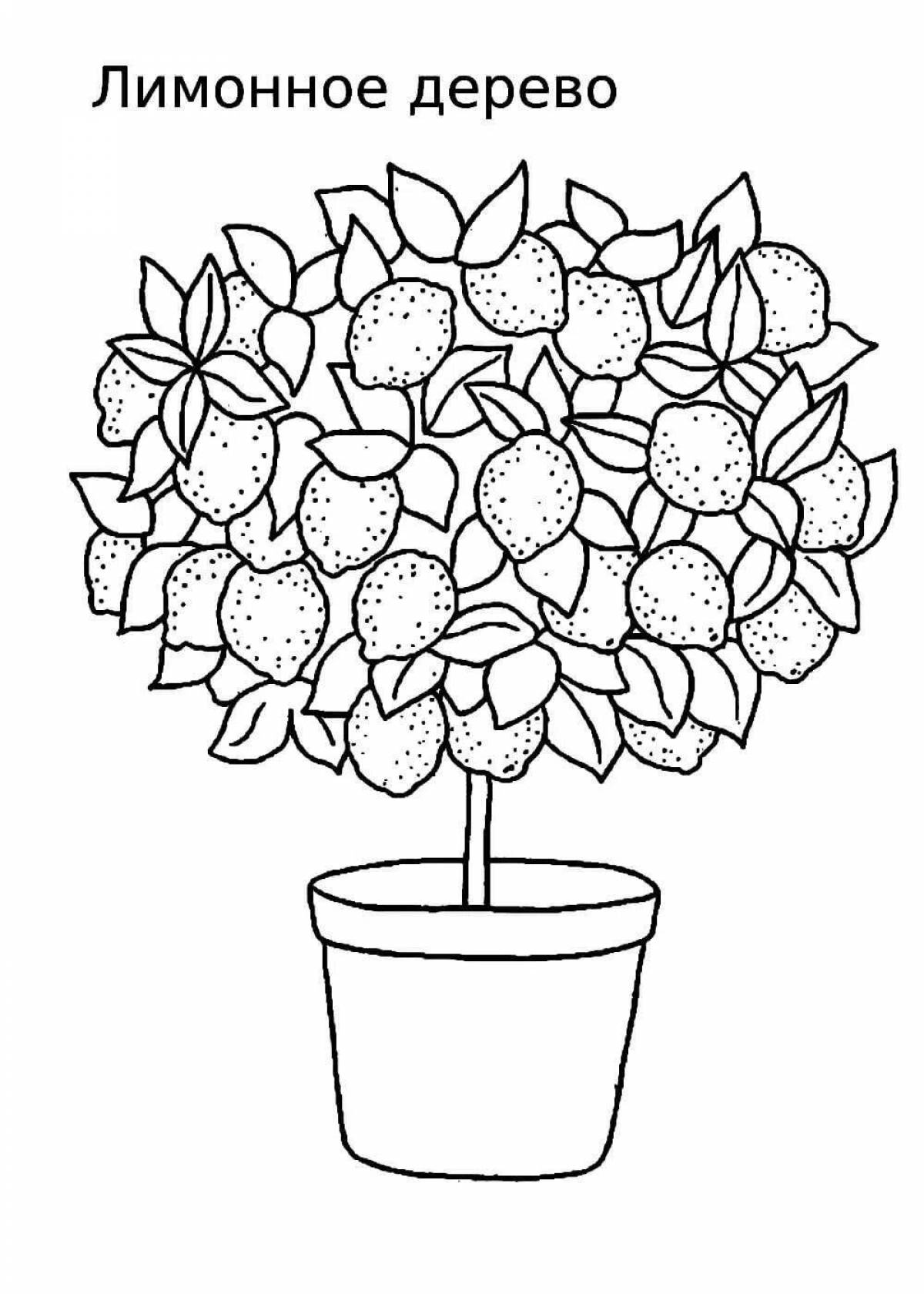 Cute Indoor Flower Coloring Page