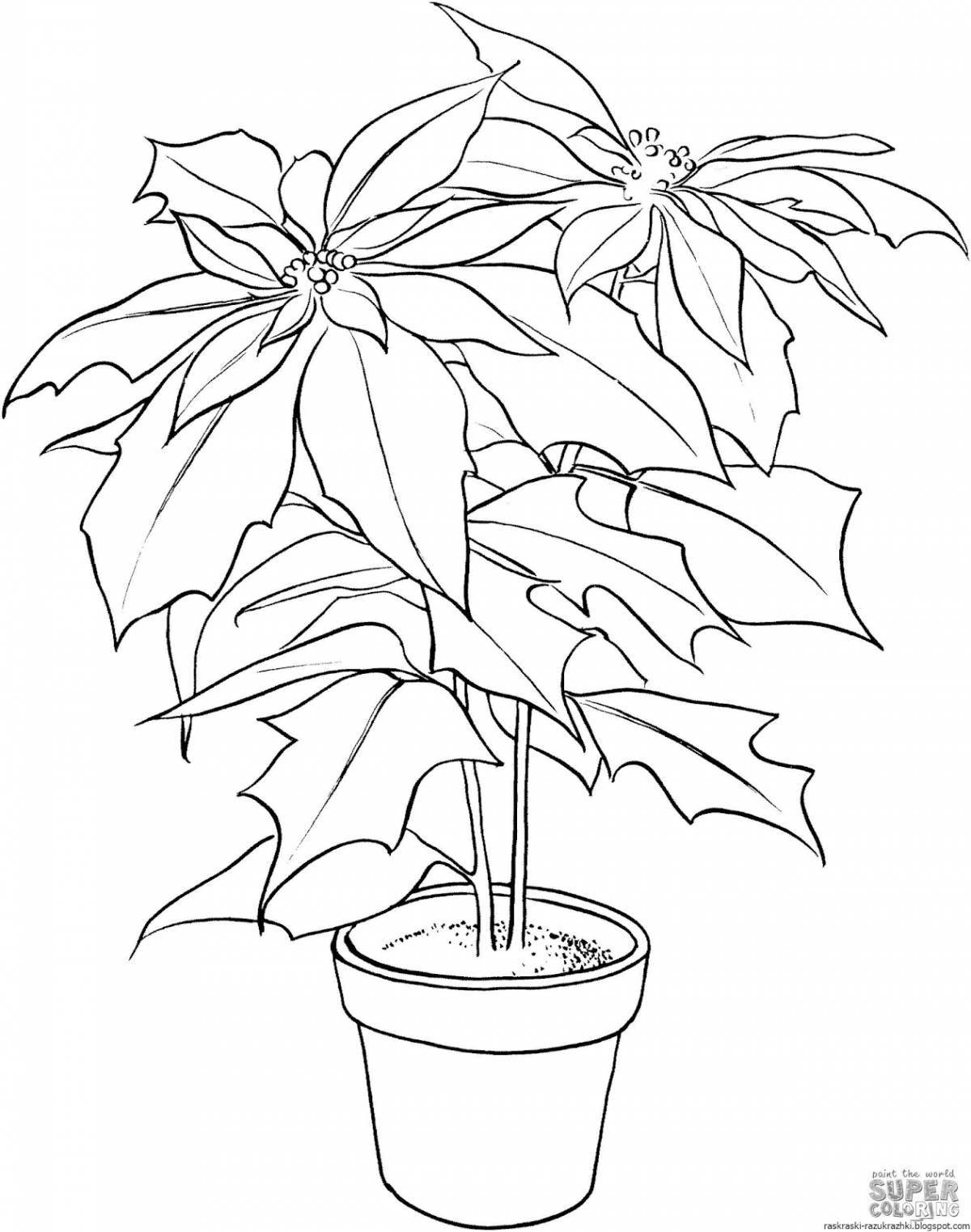 Coloring book shiny indoor flower