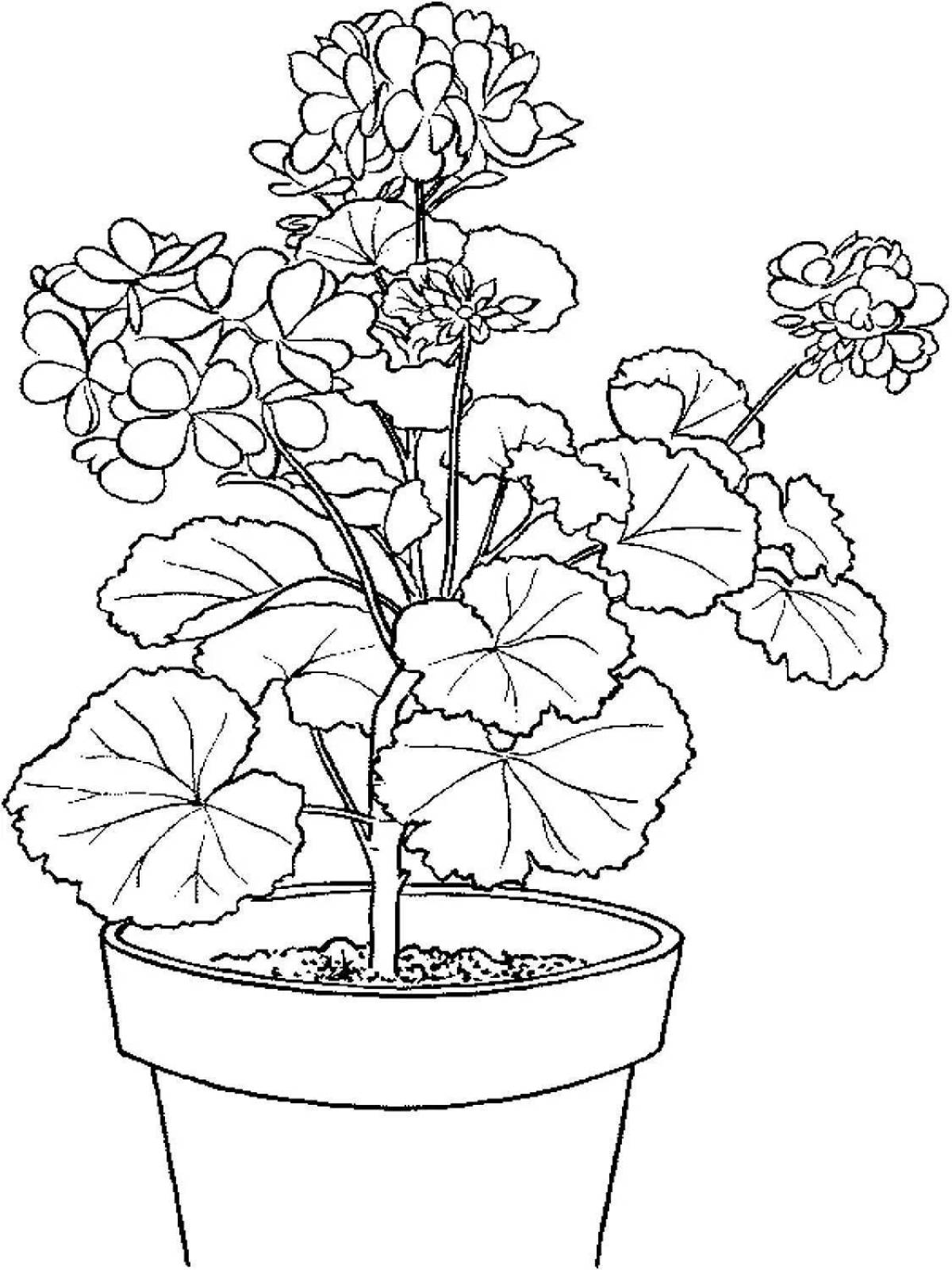 Coloring page abundant indoor flowers