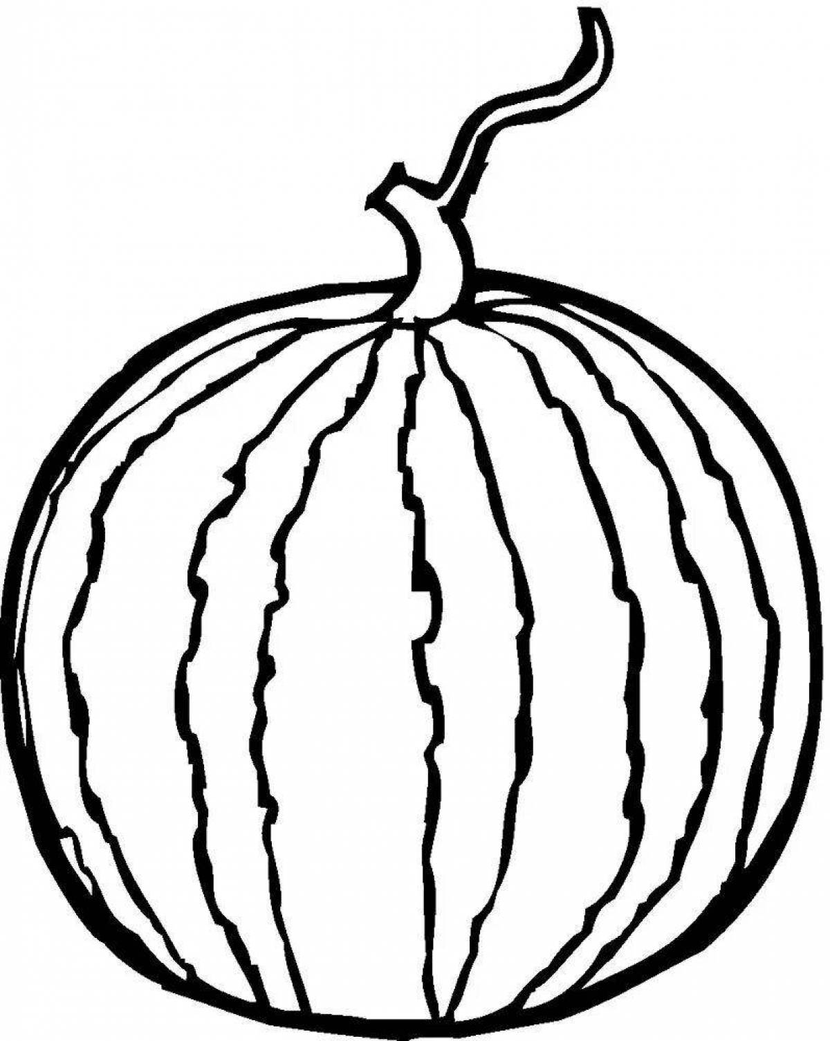 Drawing of a watermelon