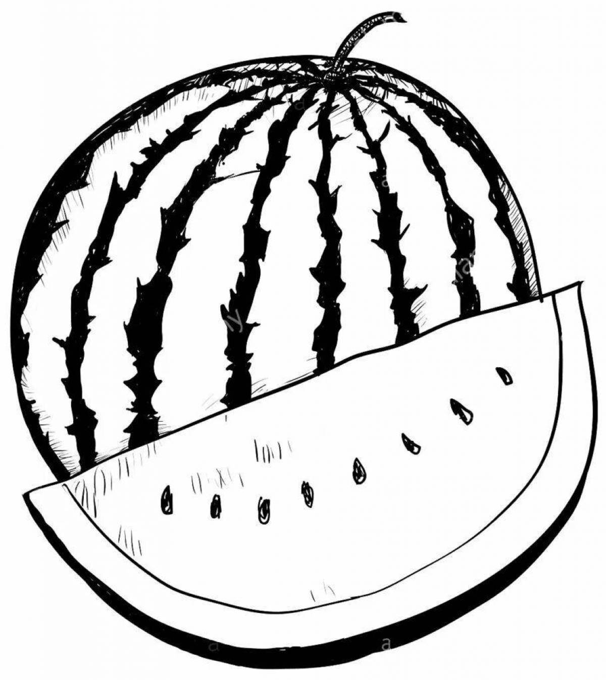 Bold watermelon drawing