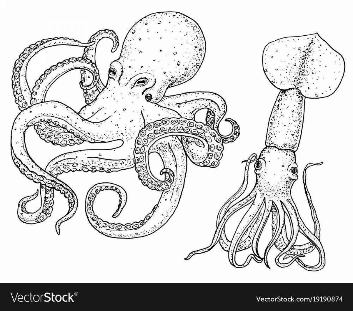 Great coloring giant squid