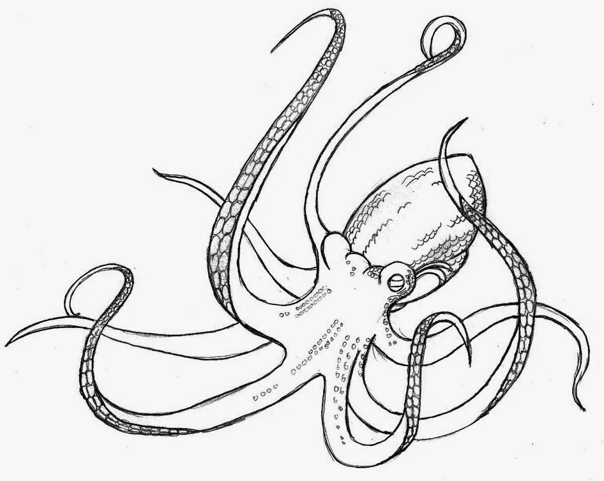 Photo Luxury coloring giant squid