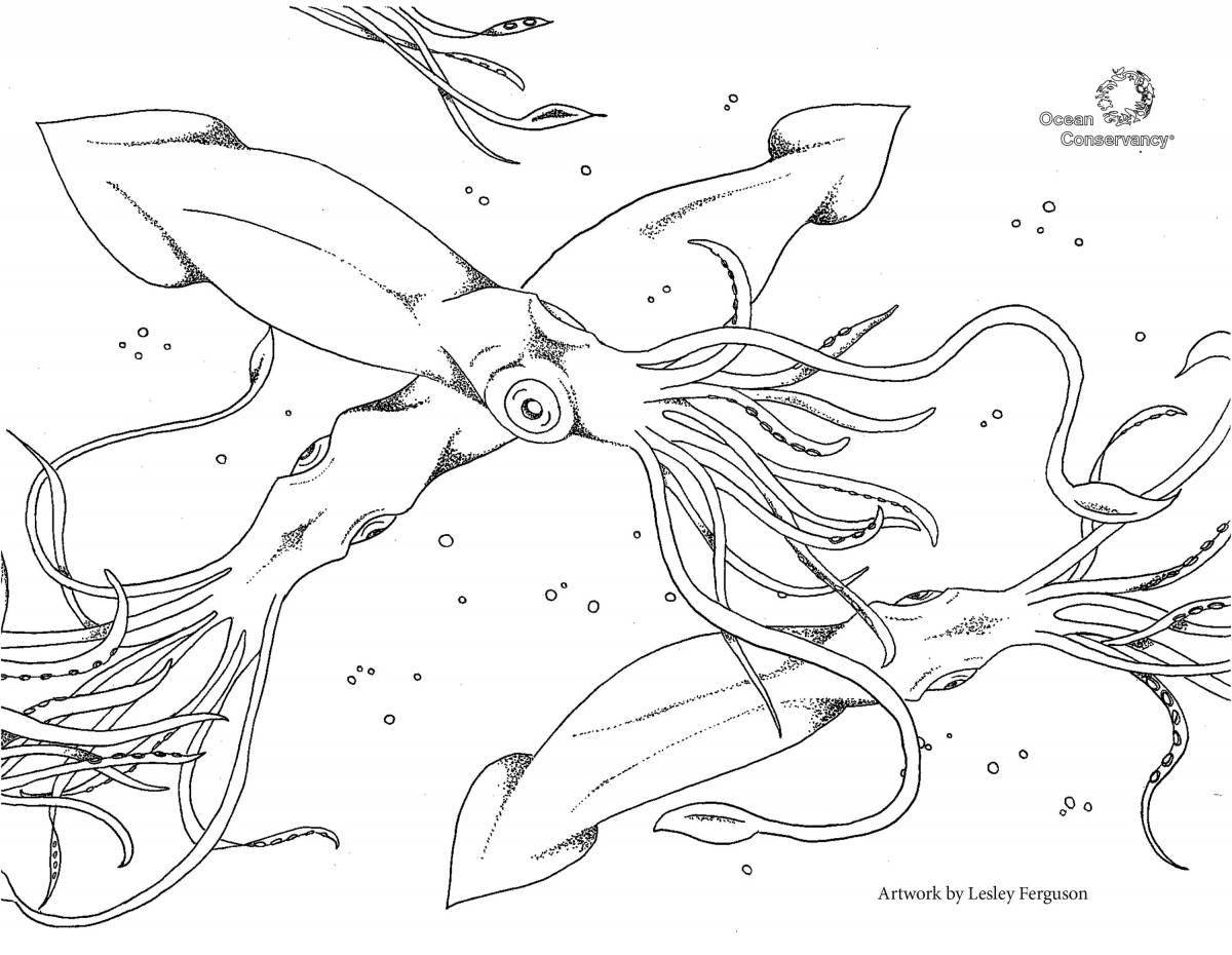 Раскраска sublime гигантский кальмар