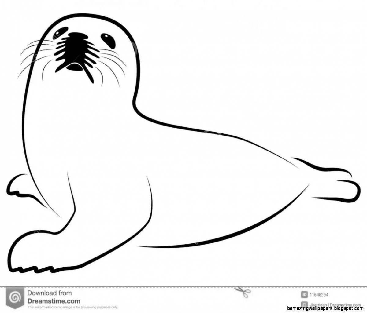 Coloring book graceful Baikal seal