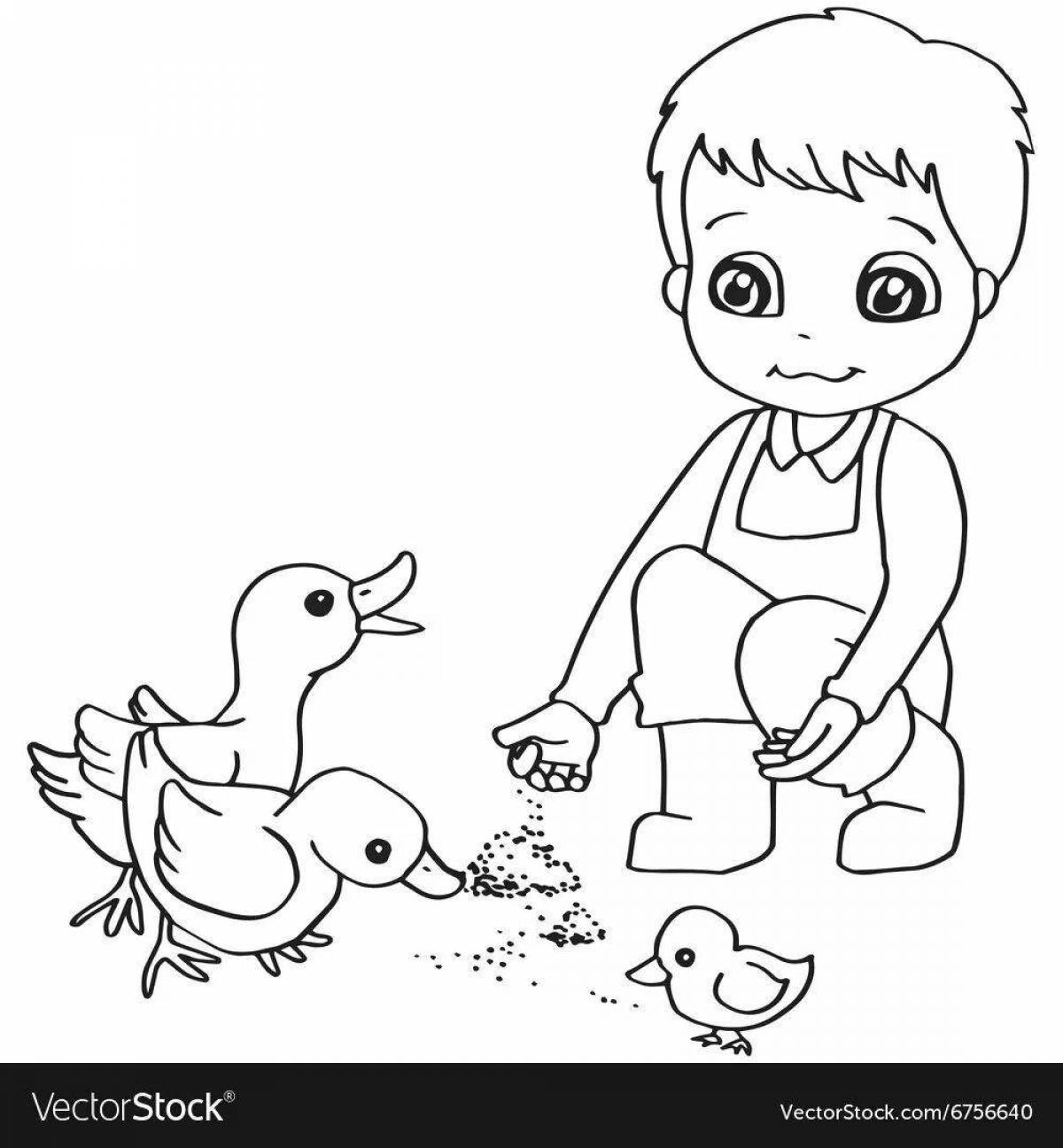 Coloring page colorful boy feeding pigeons