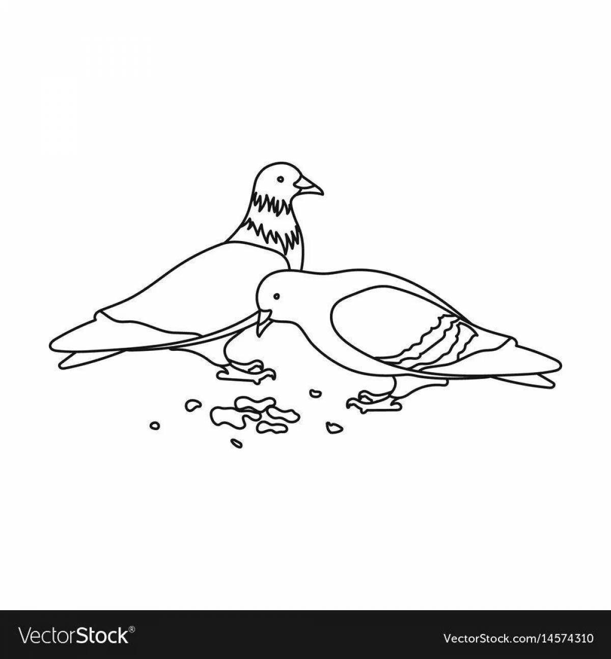 Coloring page bright boy feeding pigeons
