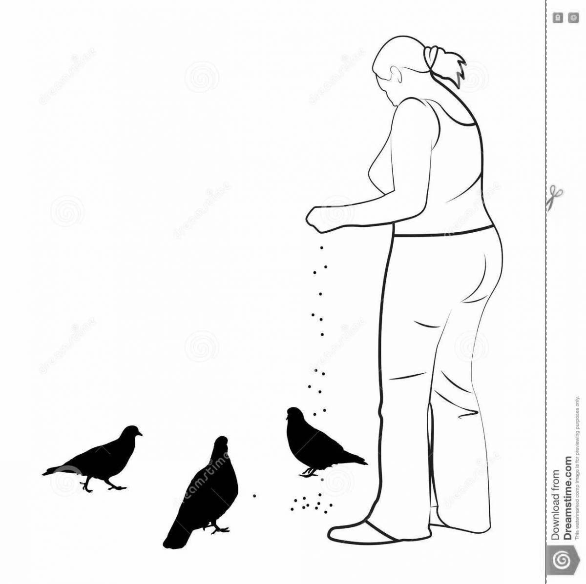 Раскраска «мальчик кормит голубей»