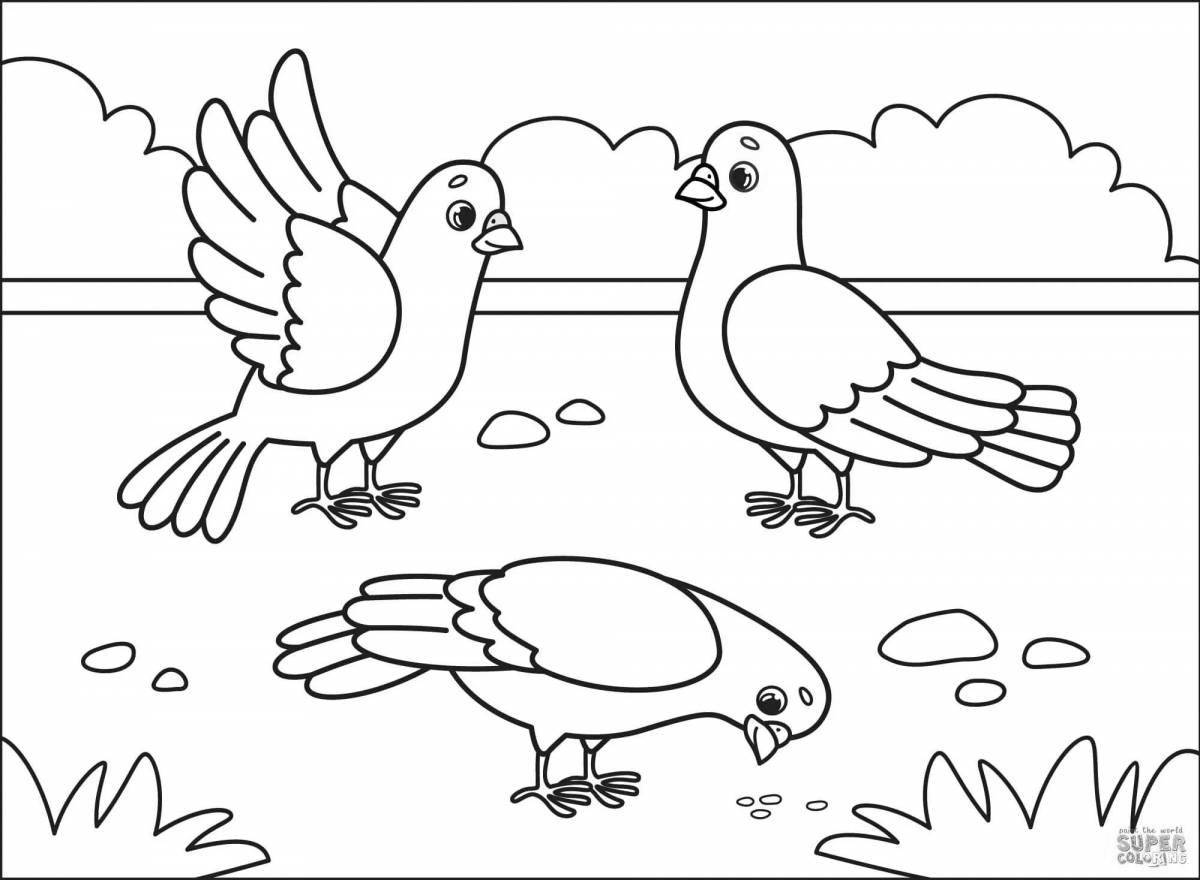 Coloring page gorgeous boy feeding pigeons