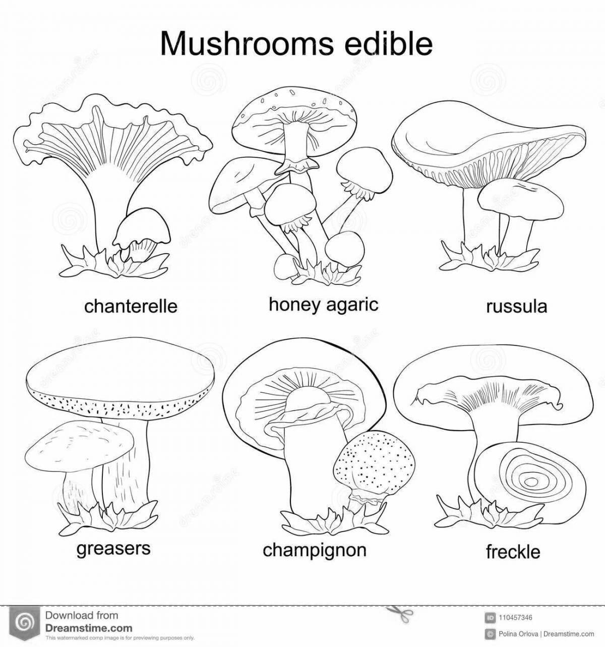 Несъедобные грибы рисунок карандашом