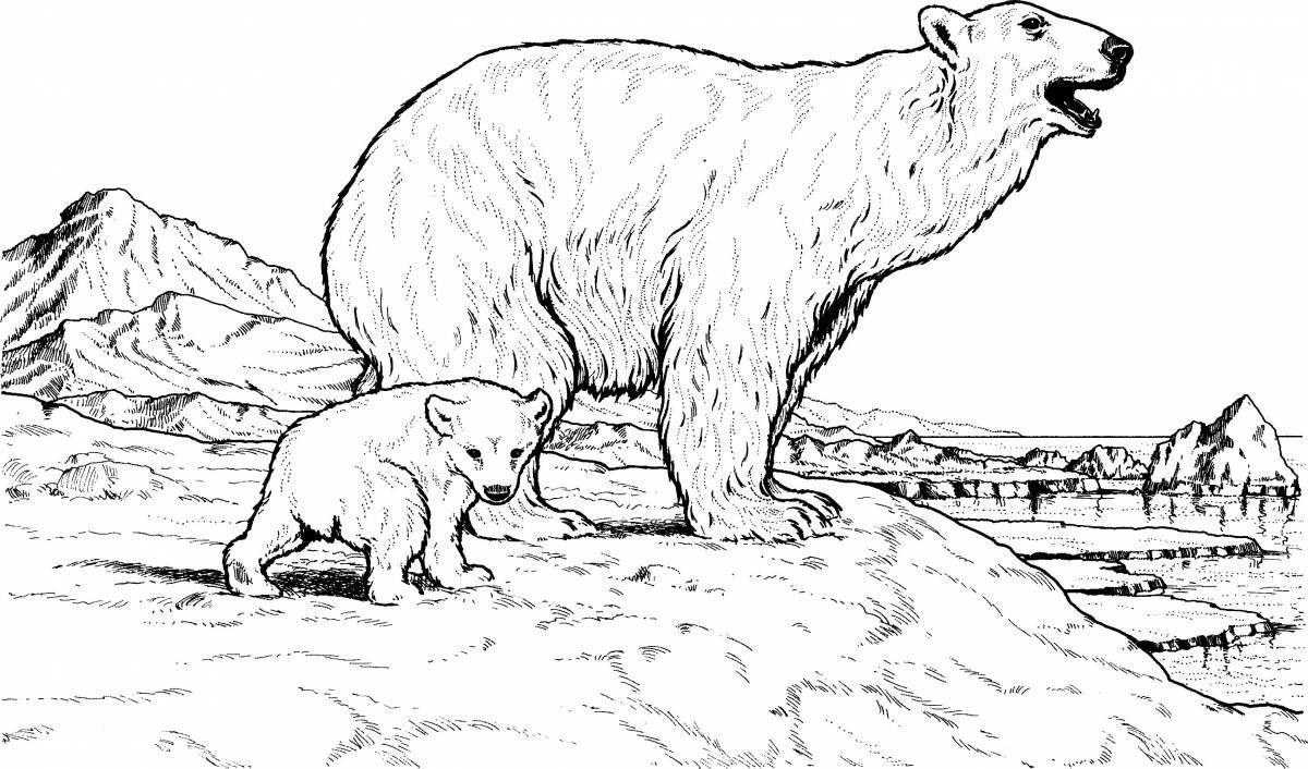 Colorful bear cub and cub coloring page