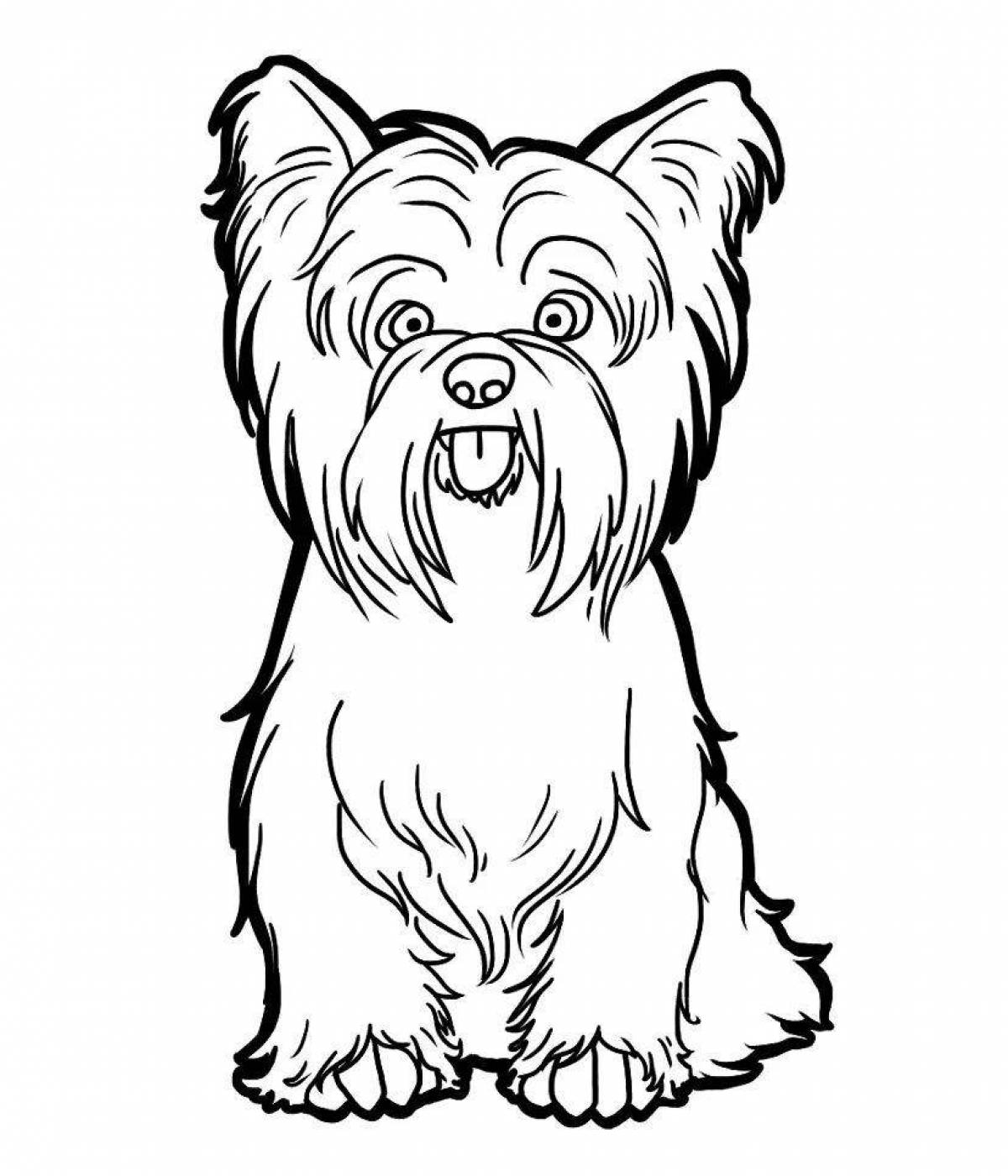 Coloring pages joyful black and white dogs