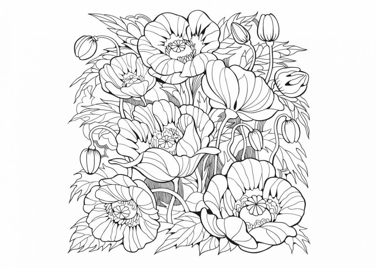 Wonderful sketches by numbers coloring book