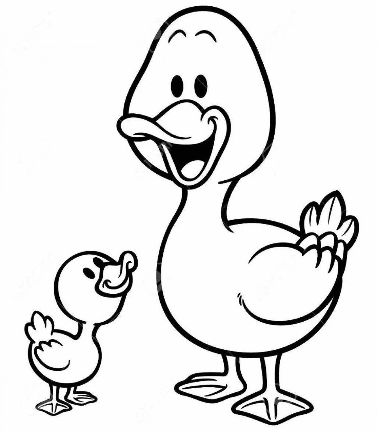 Coloring page playful squeezing duckling