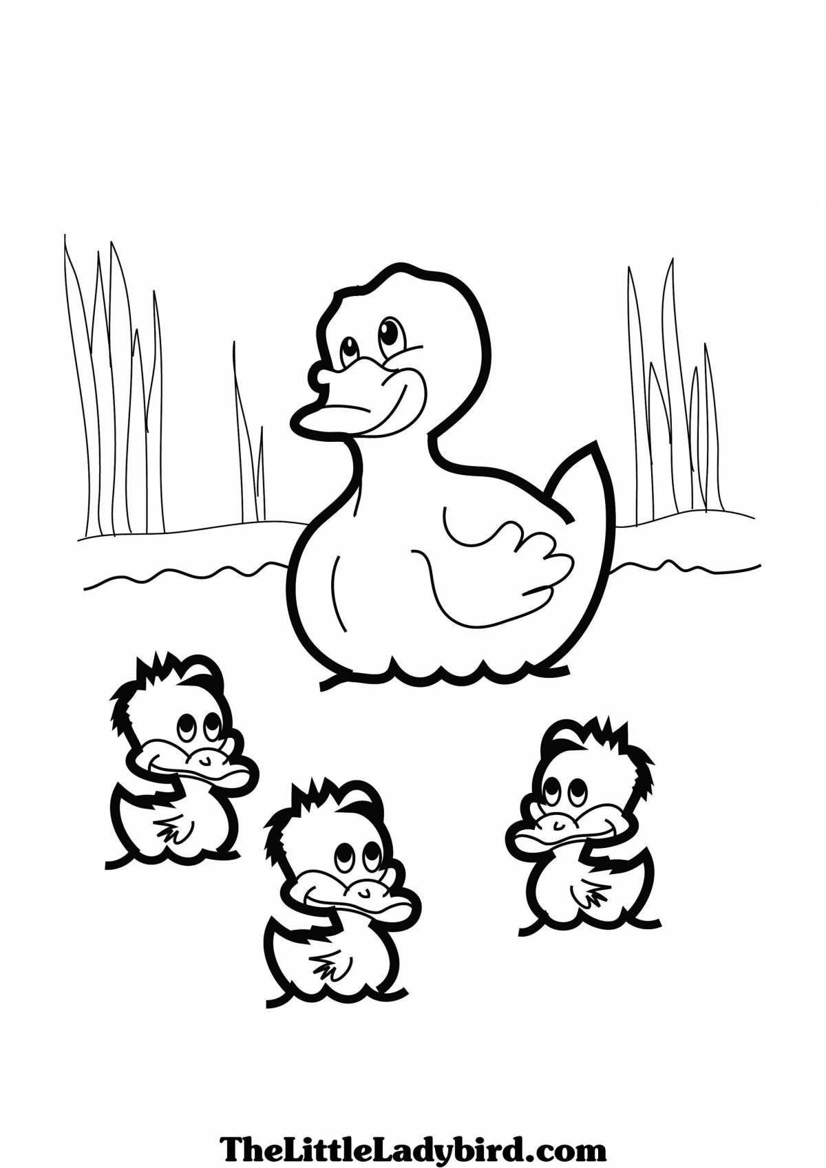 Coloring fluffy duckling