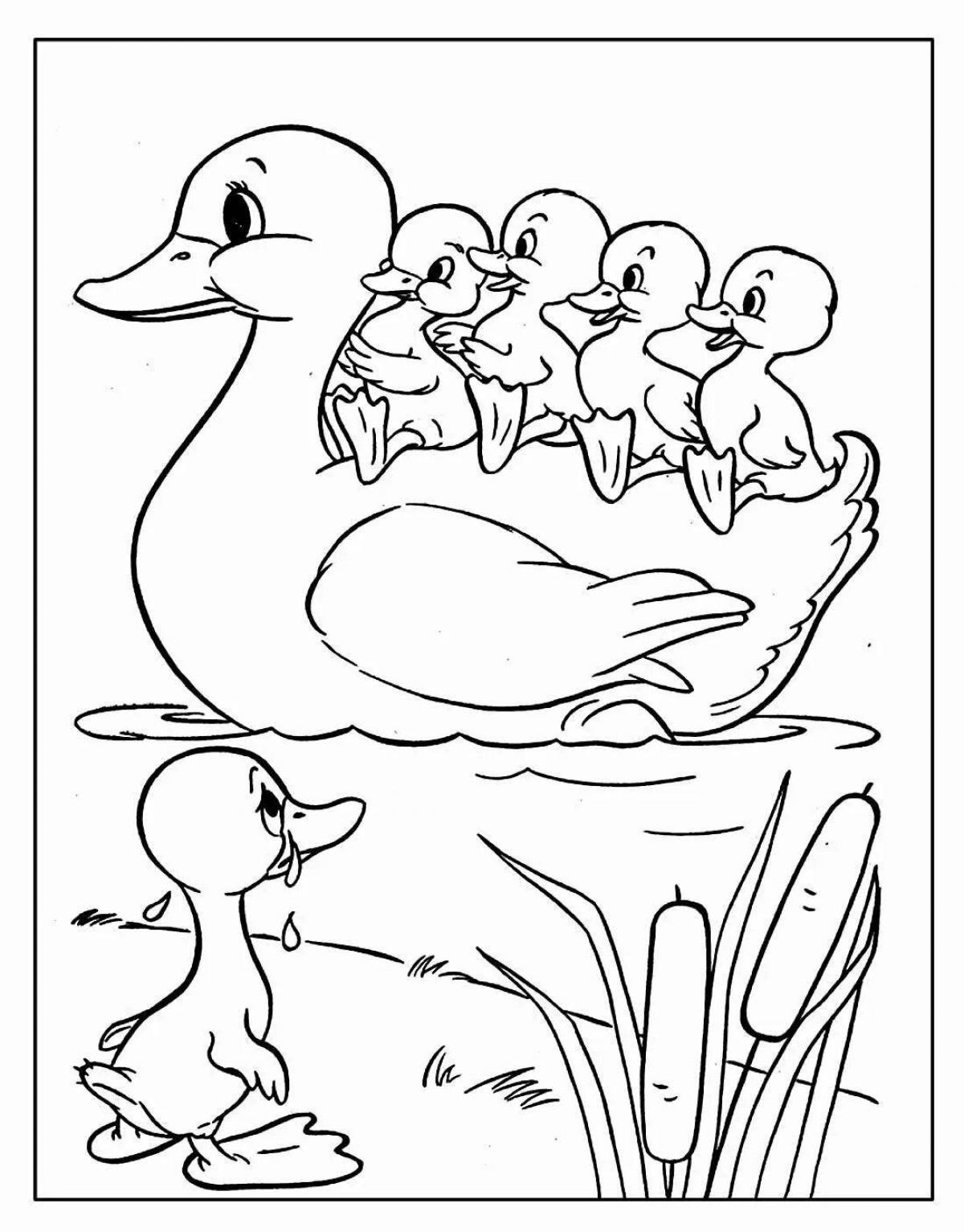 Coloring duck diving