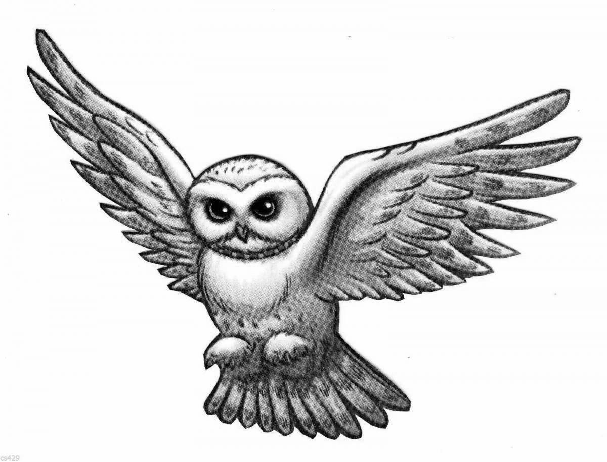 Exquisite coloring of hedwig from harry potter