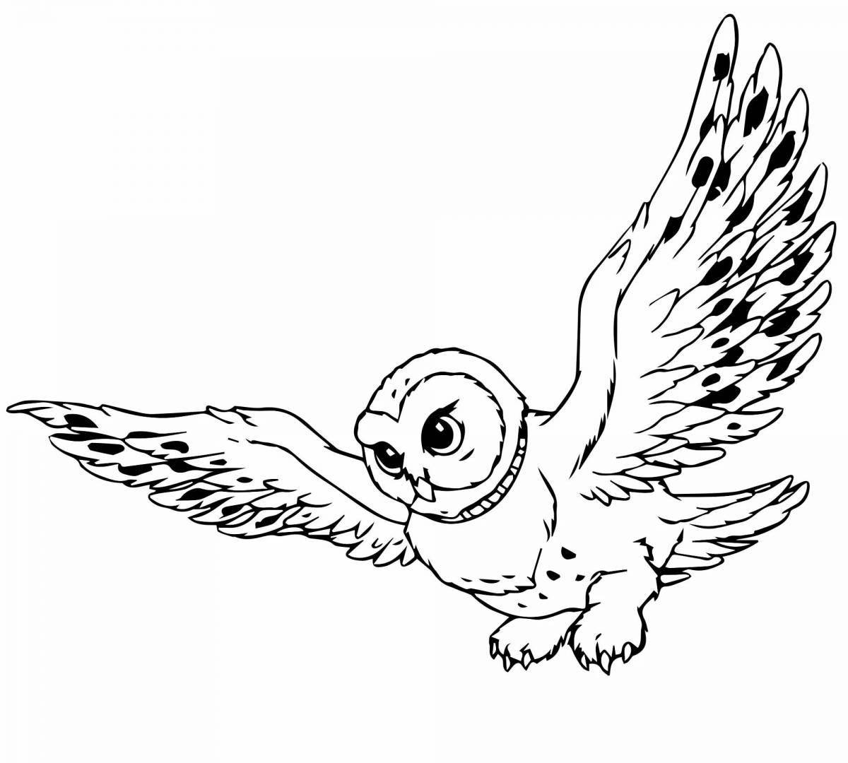 Large coloring of hedwig from harry potter