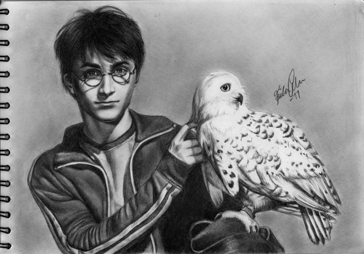 Harry Potter Hedwig's elegant coloring book