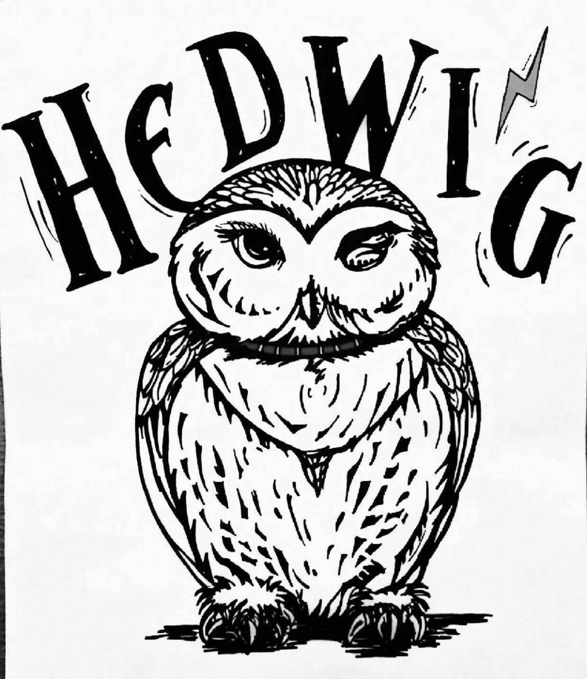 Coloring Hedwig from Harry Potter