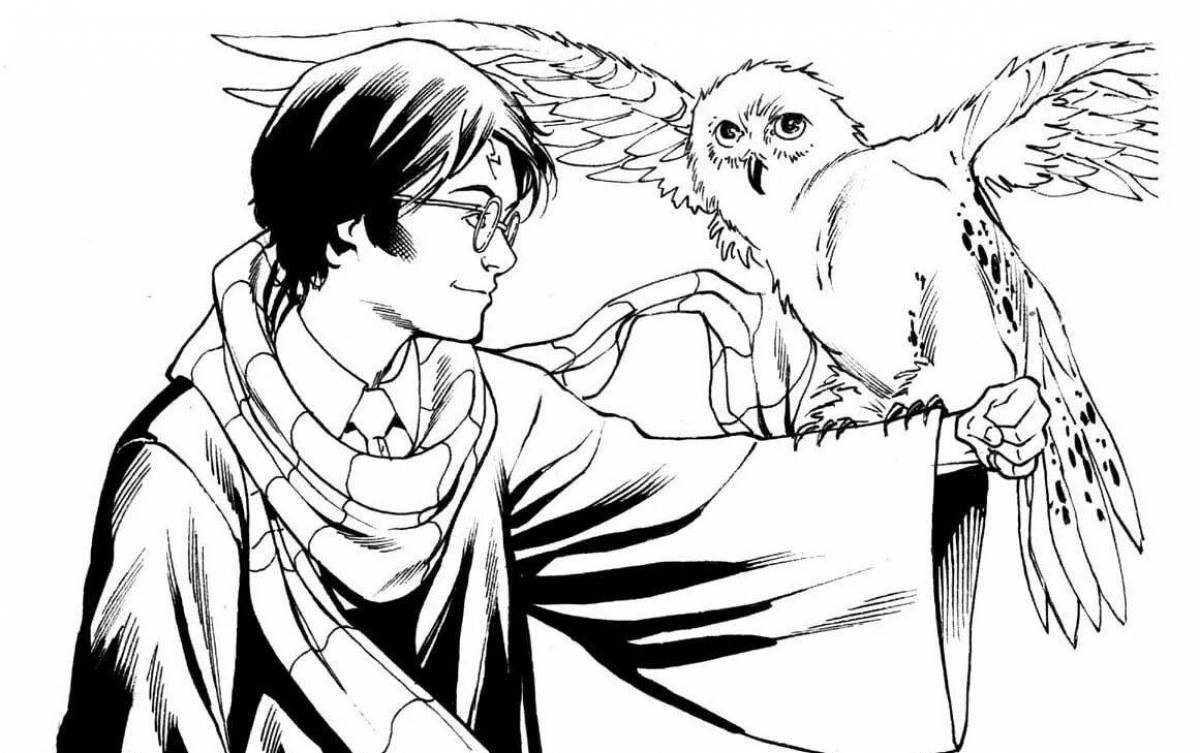 Harry Potter Hedwig's coloring book