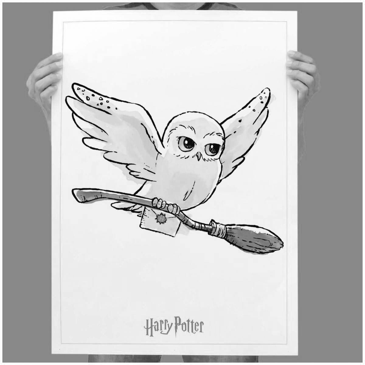 Luxury coloring hedwig from harry potter