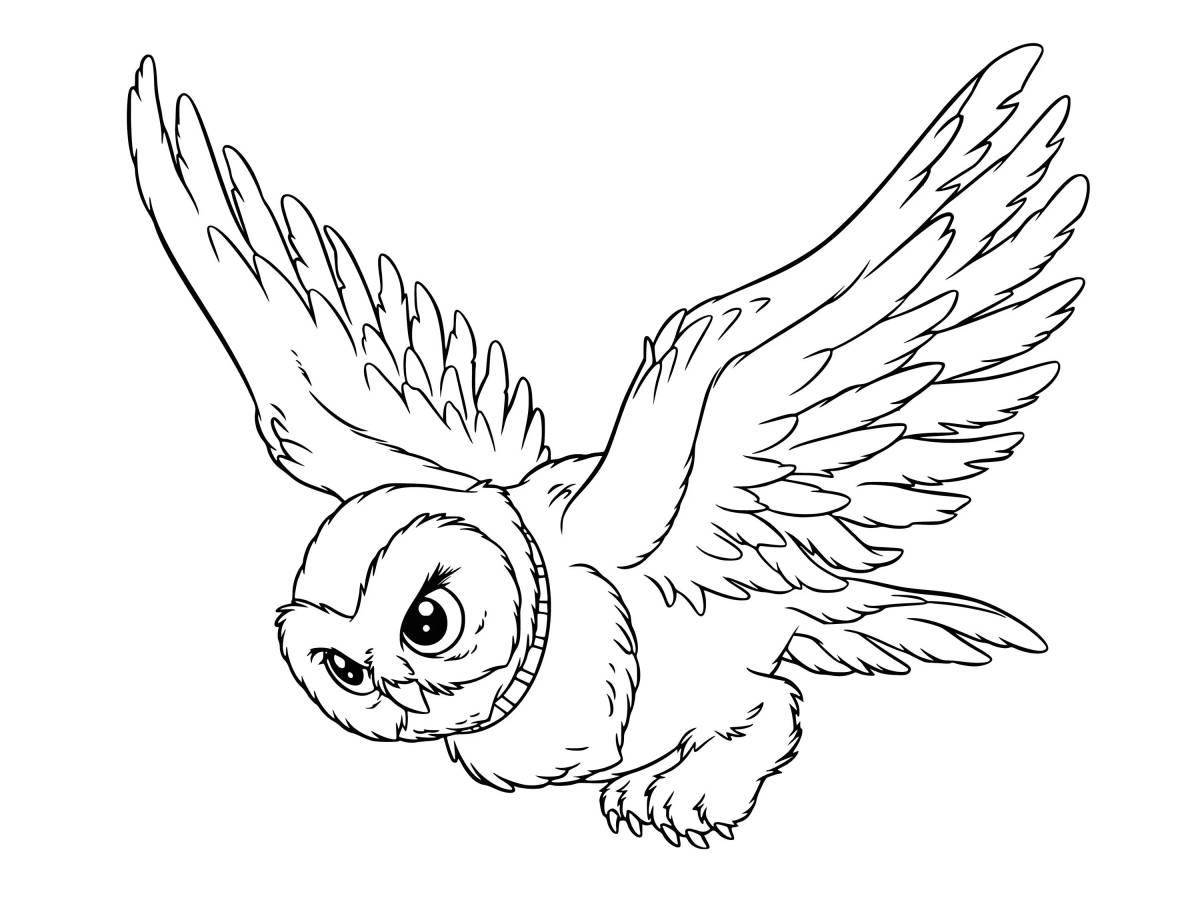 Harry Potter Hedwig's generous coloring book