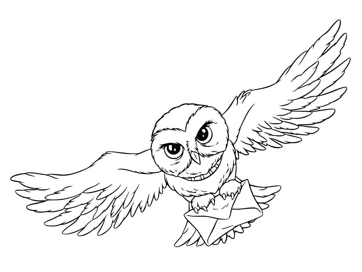 High hedwig coloring book from harry potter