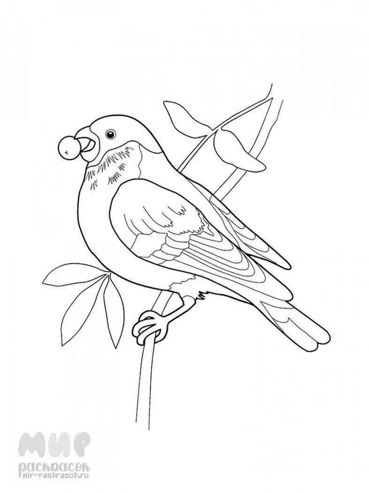 Cute bullfinch on a branch drawing
