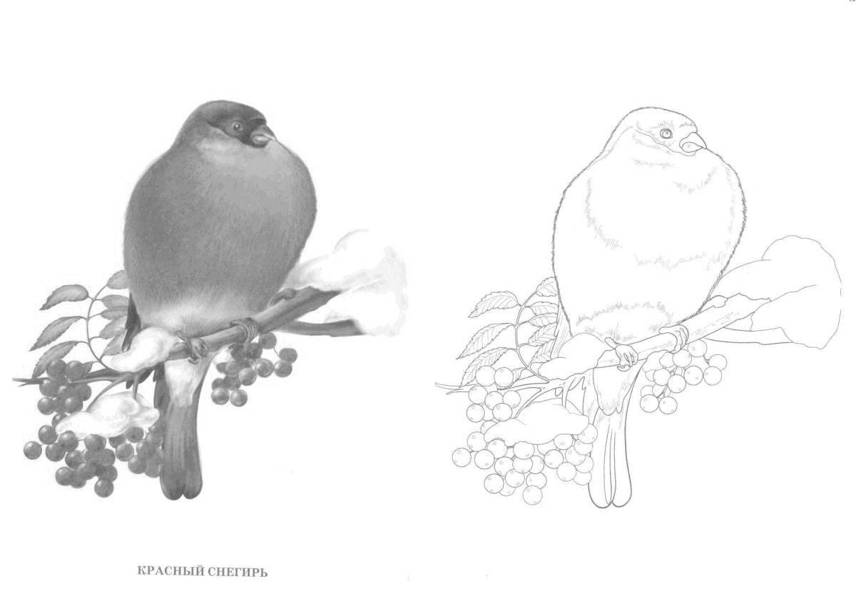 Amazing drawing of a bullfinch on a branch