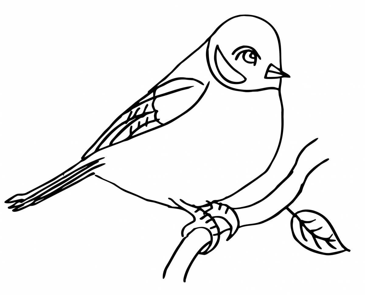 Graceful bullfinch on a branch drawing
