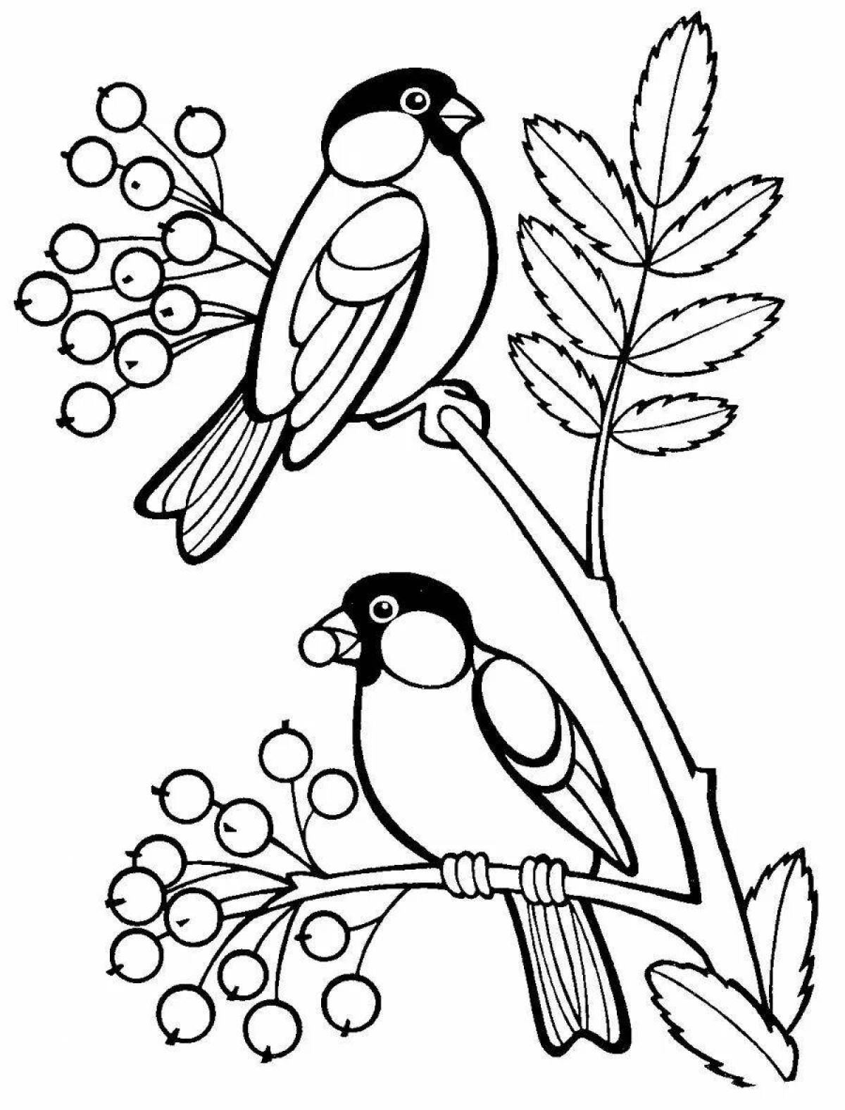 Beckoning bullfinch on a branch drawing