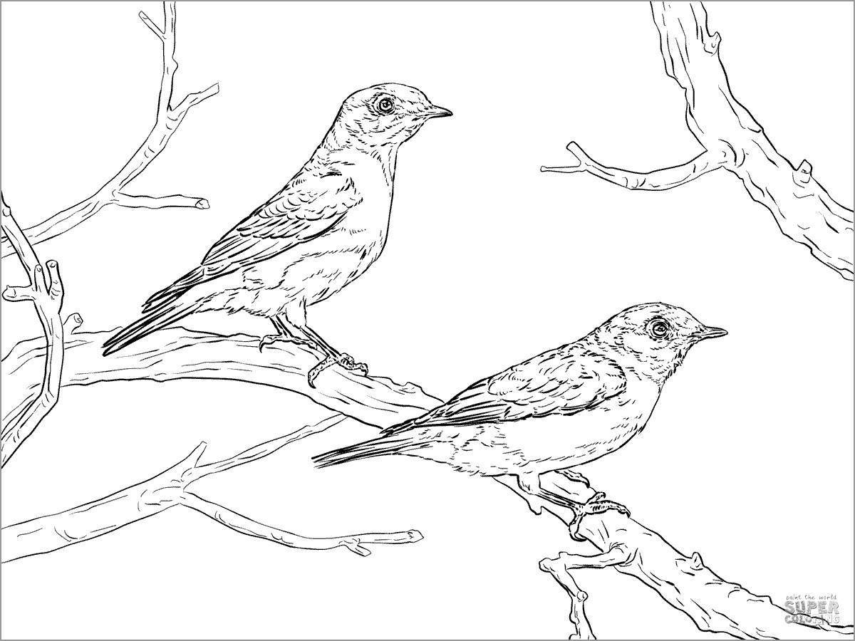 Изысканная раскраска зимующие птицы по номерам