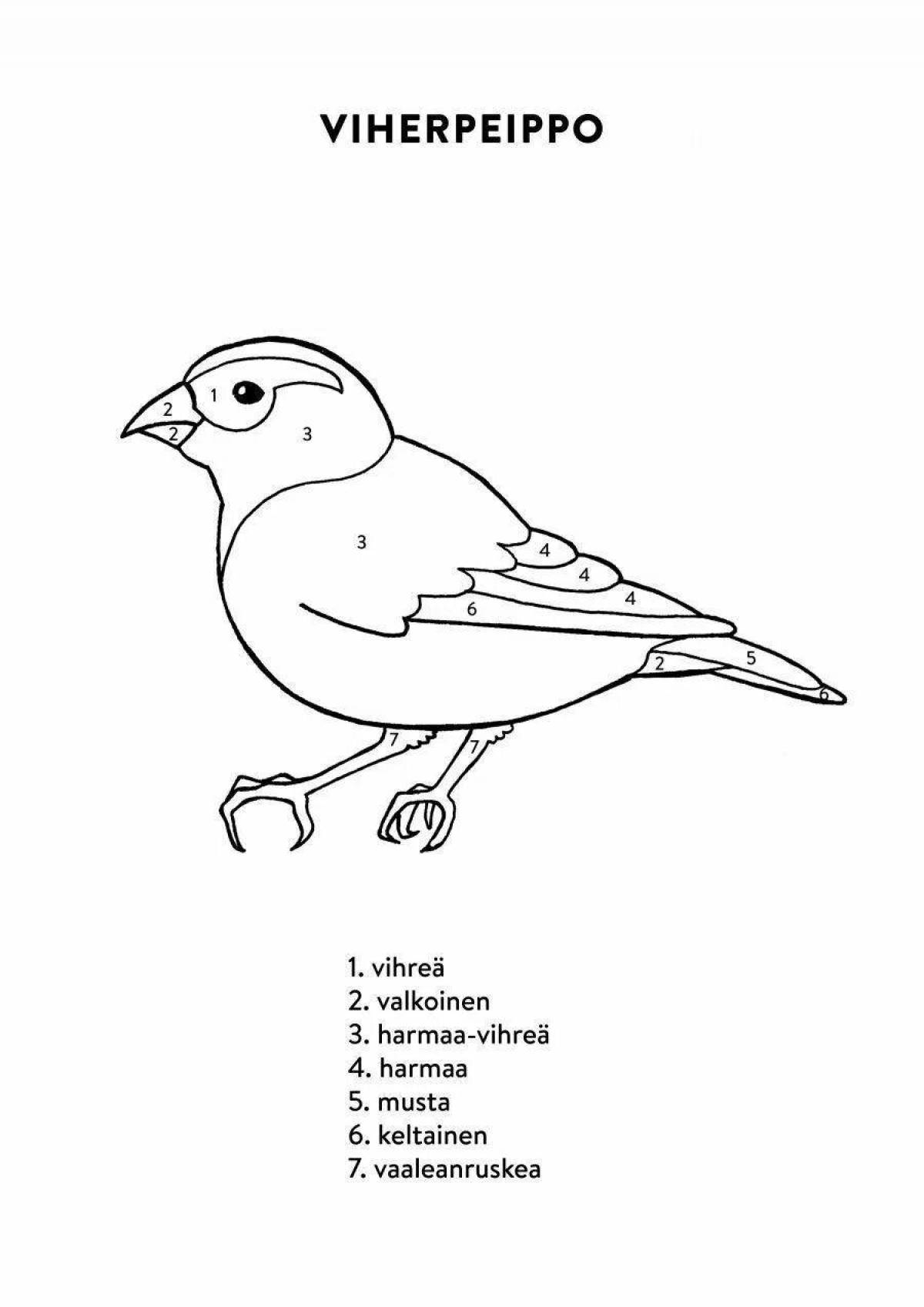 Amazing coloring book wintering birds by numbers