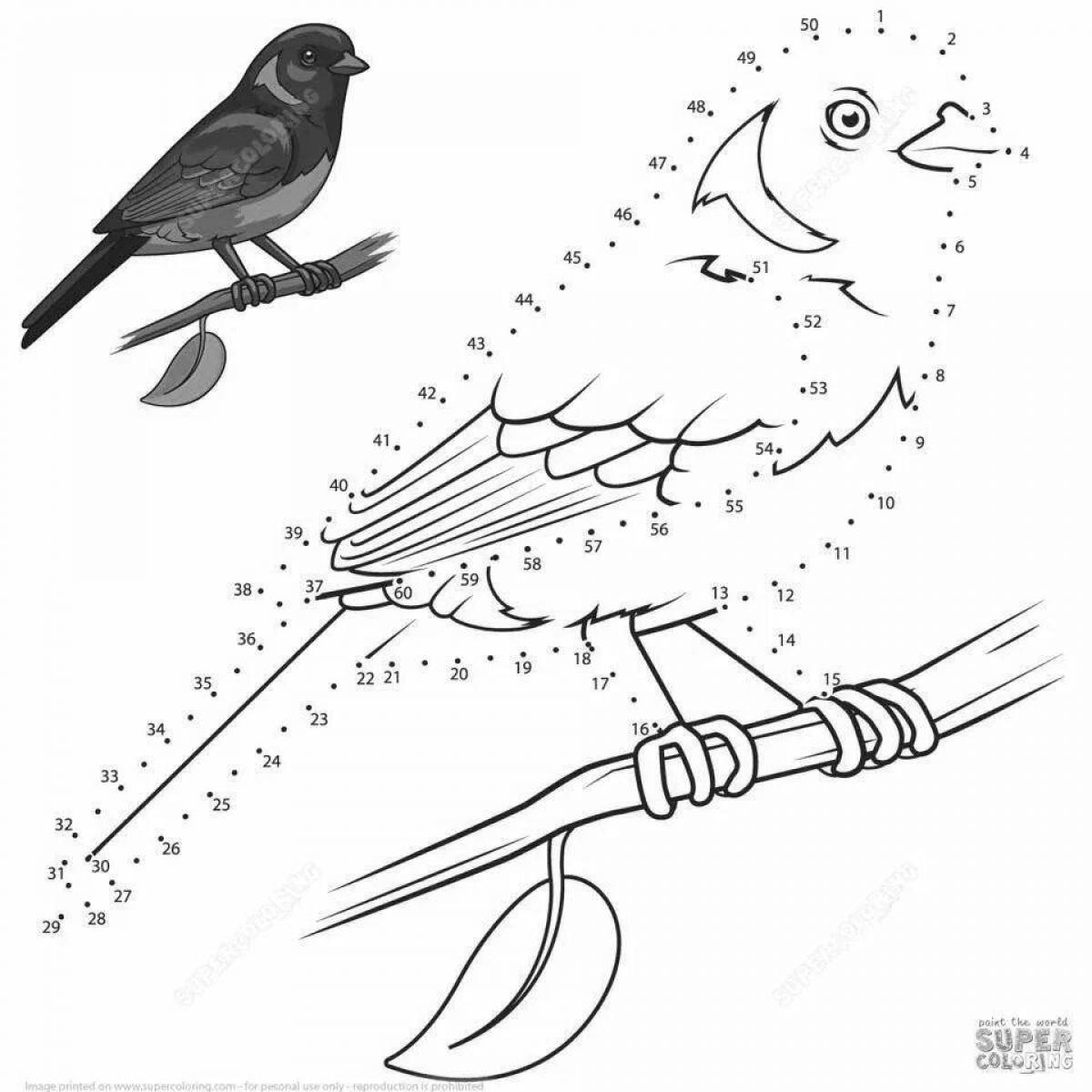 Beautiful coloring book wintering birds by numbers