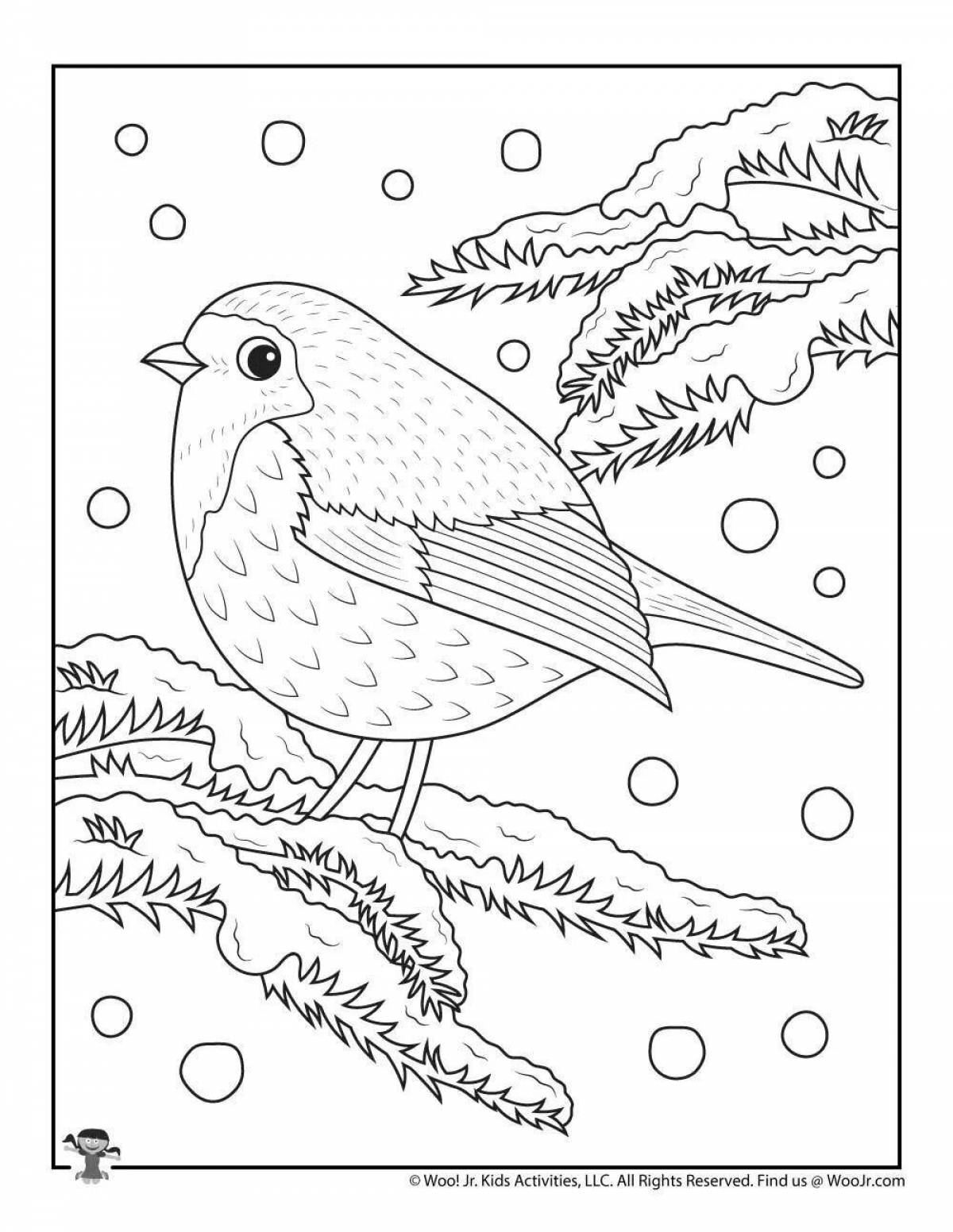 Exotic coloring book wintering birds by numbers