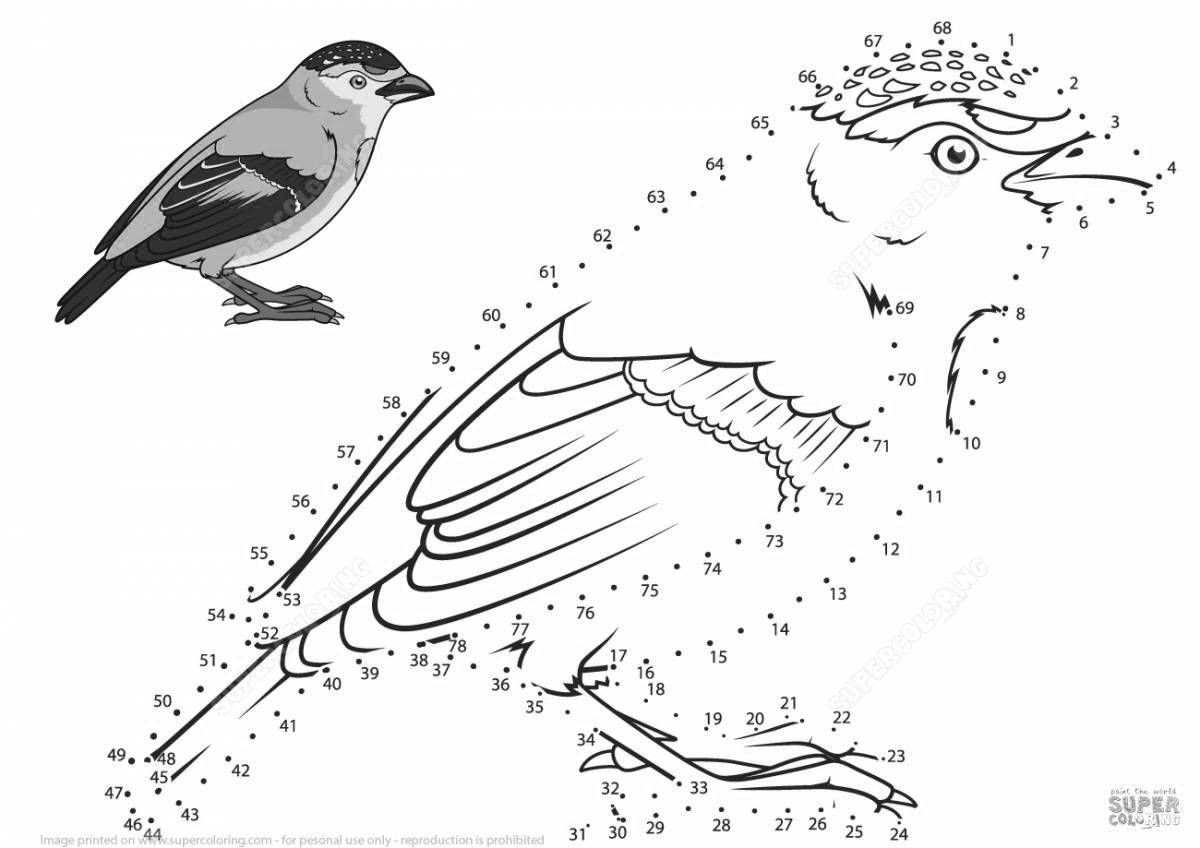 Intriguing coloring book wintering birds by numbers