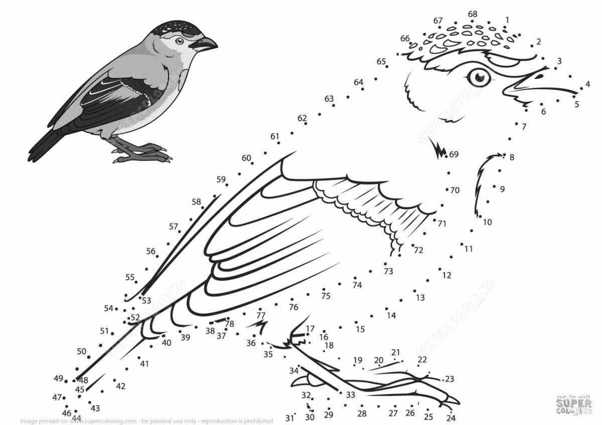 Интригующая раскраска зимующие птицы по номерам