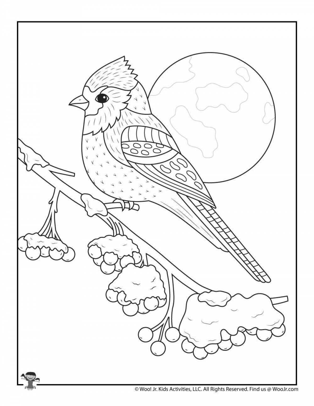 Beautiful coloring book wintering birds by numbers