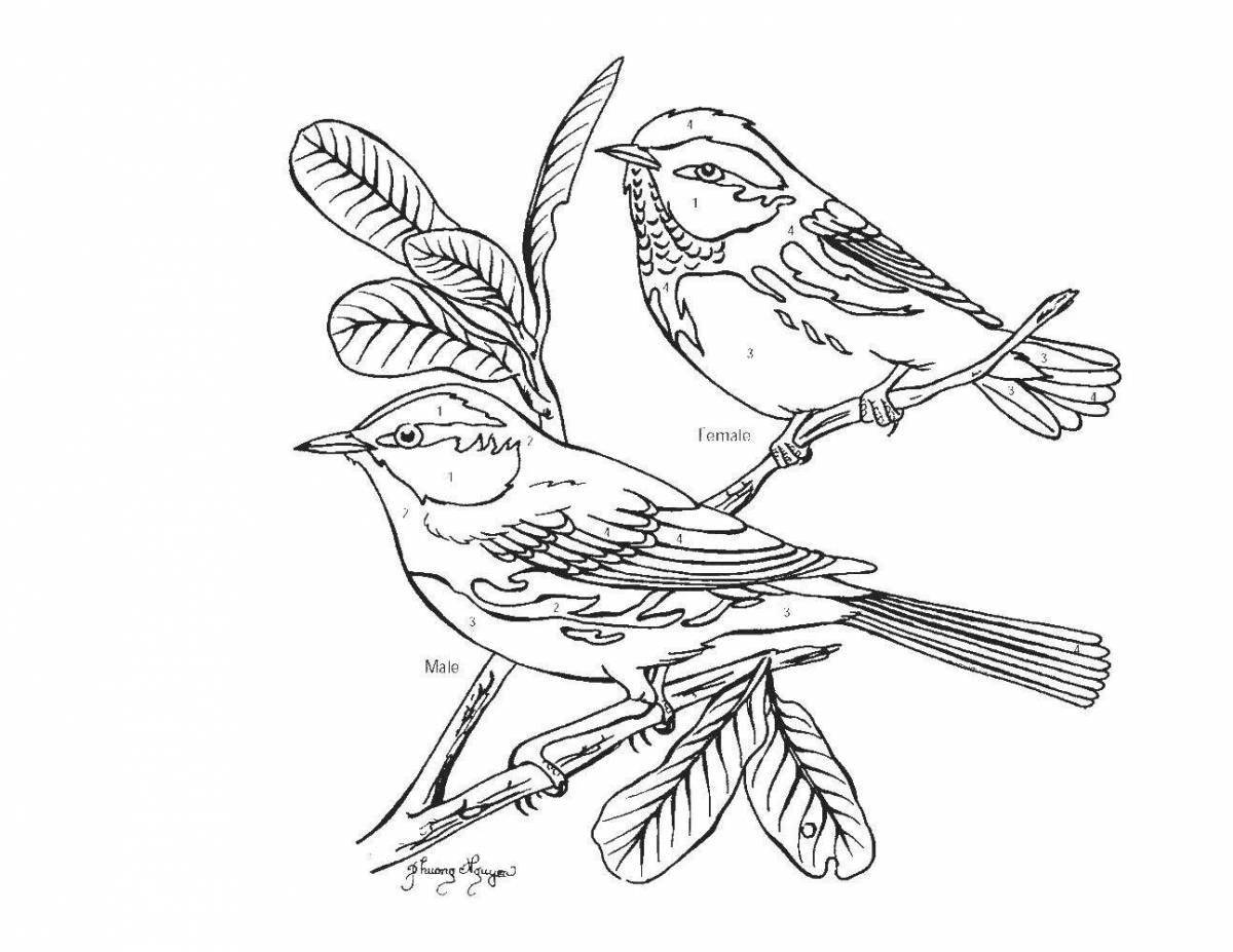 Serene coloring page wintering birds by numbers