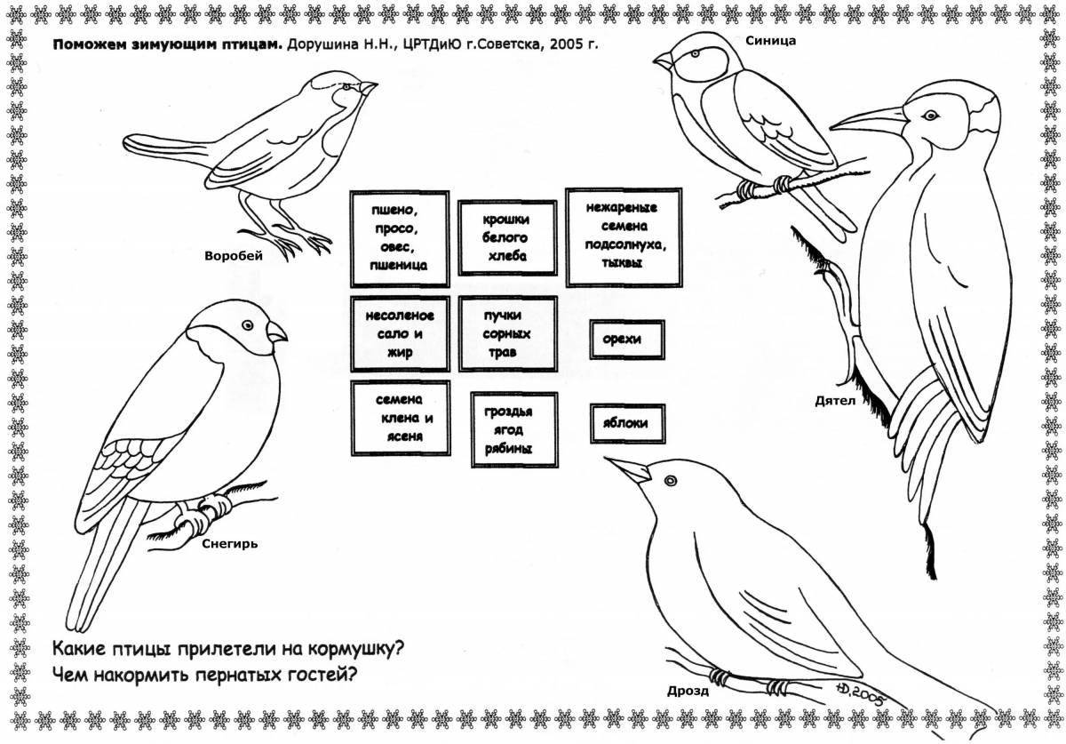 Coloring sublime wintering birds by numbers