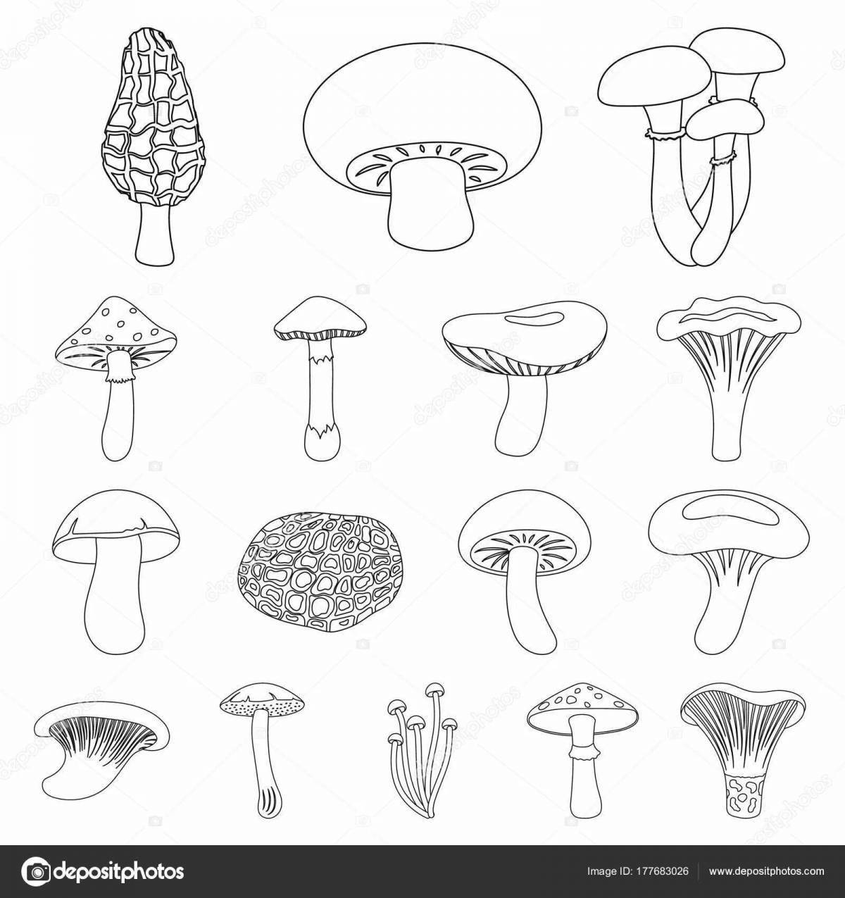 Detailed coloring of edible mushrooms