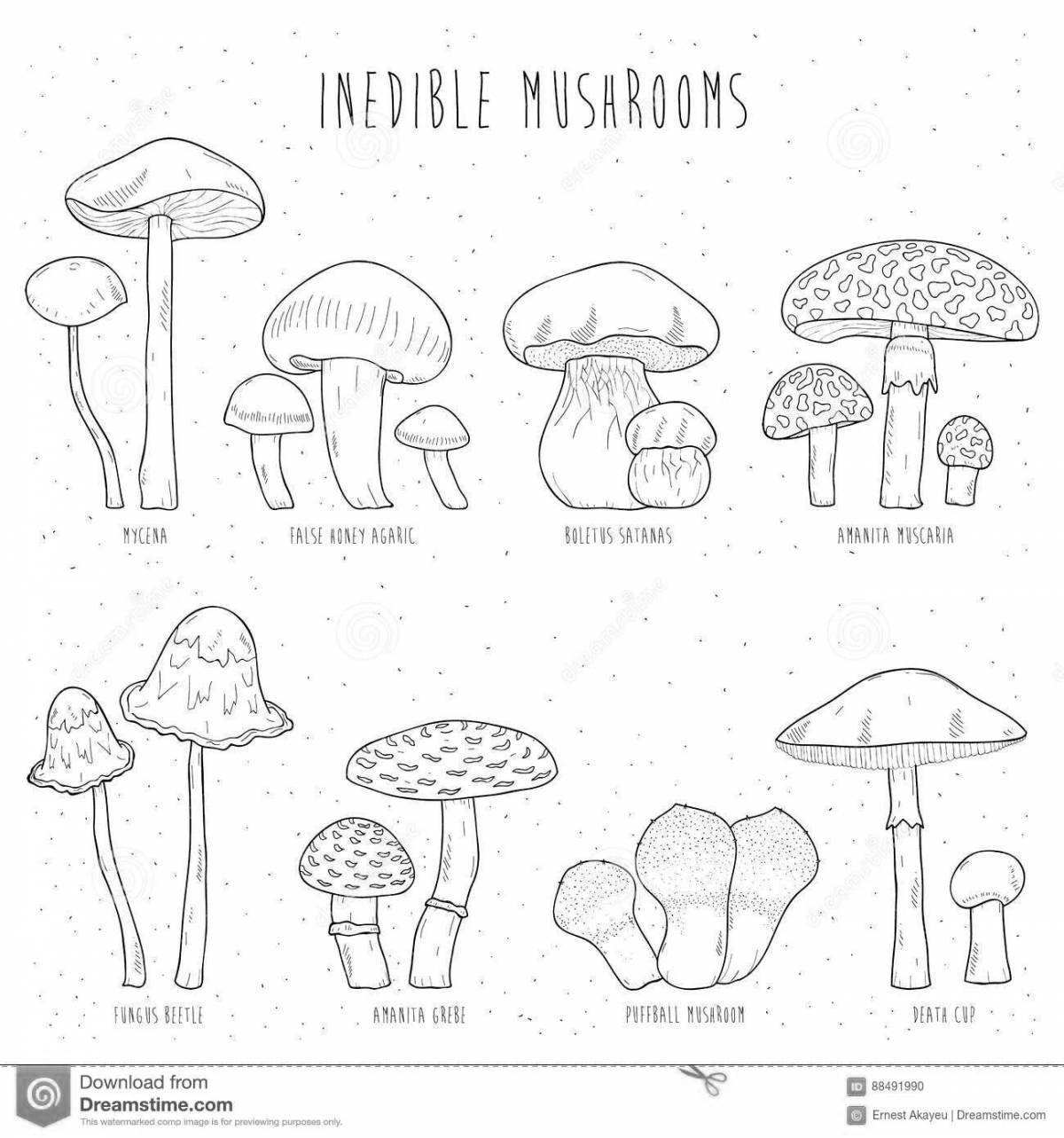 Coloring bright edible mushrooms