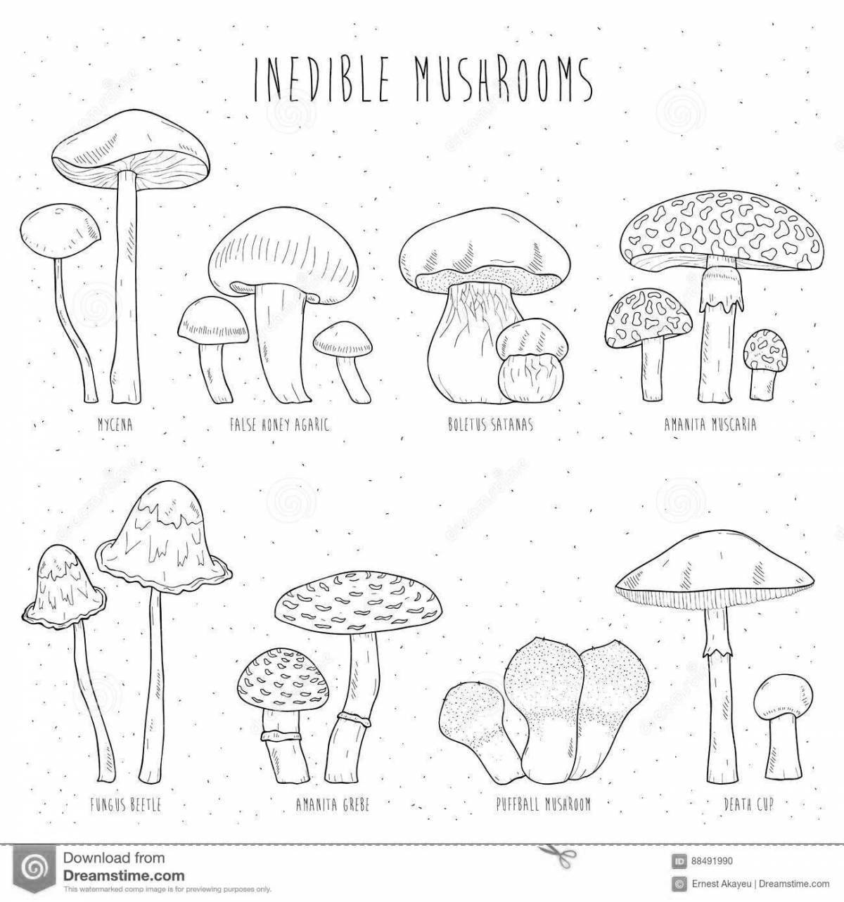 Раскраска названия грибов распечатать