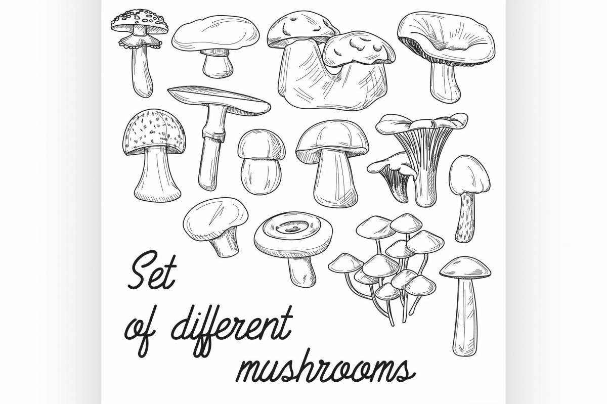 Coloring book bold inedible mushrooms
