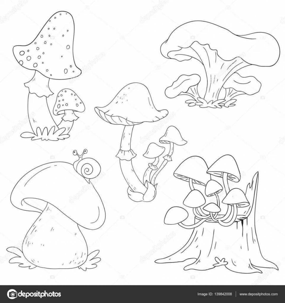 Edible mushroom coloring page